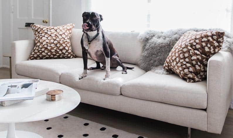 crypton home fabrics are pet friendly, stain resistant, durable, and beautiful - room design by anne sage