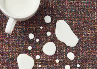 Crypton Home Fabric milk stain