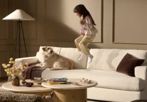 couch fabrics that designers say hold up best MSN feature