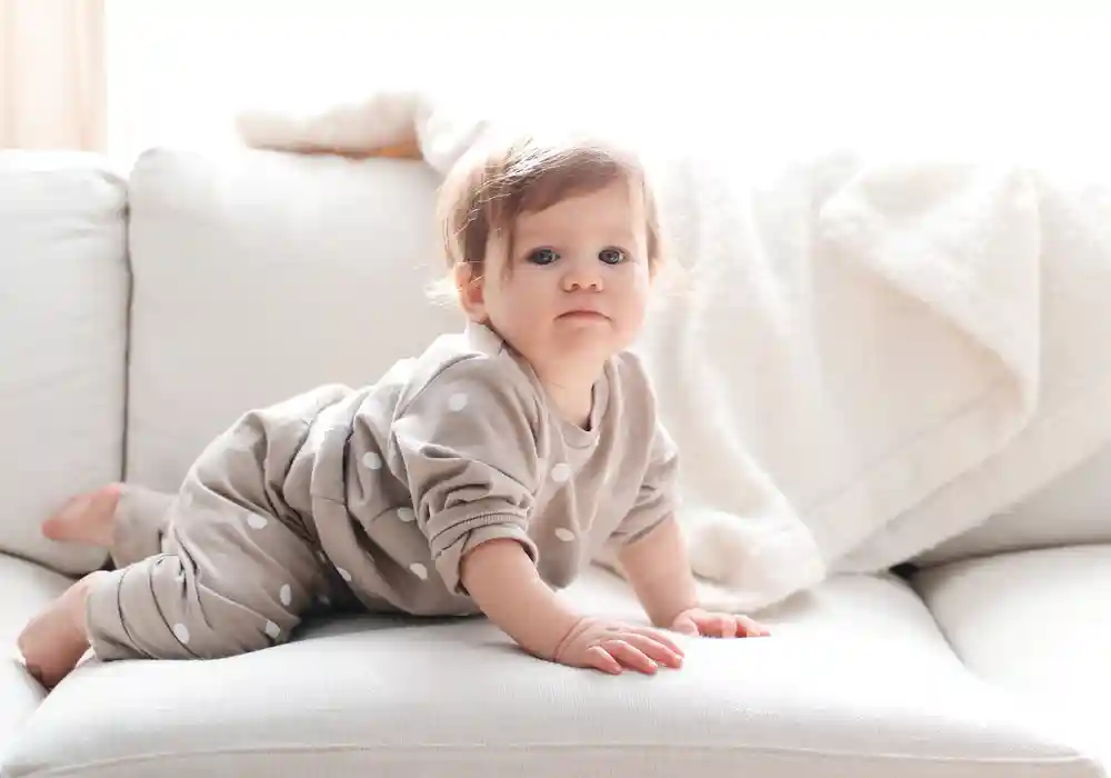 consumers growing demand for performance fabric - family friendly and pet friendly couch