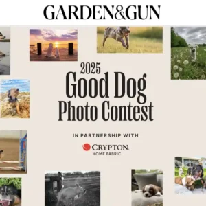 Garden & Gun Magazine's Good Dog