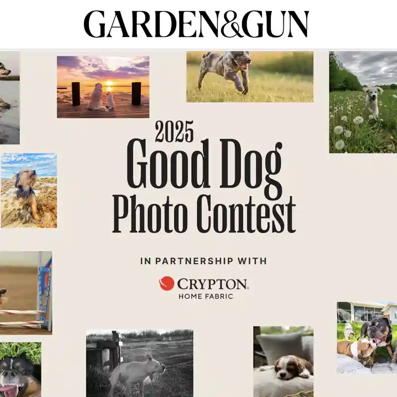 Garden & Gun Magazine's Good Dog
