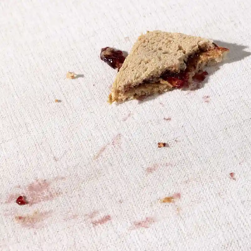 peanut butter and jelly sandwich stain on white fabric couch