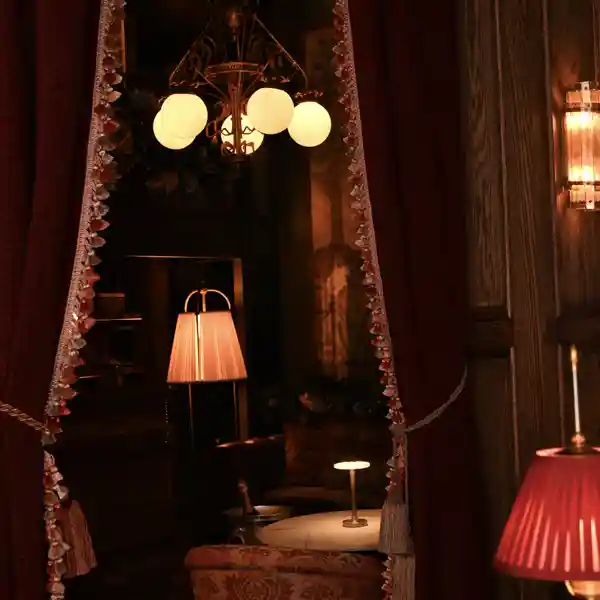 velvet curtains with custom fabric design for maxwell social