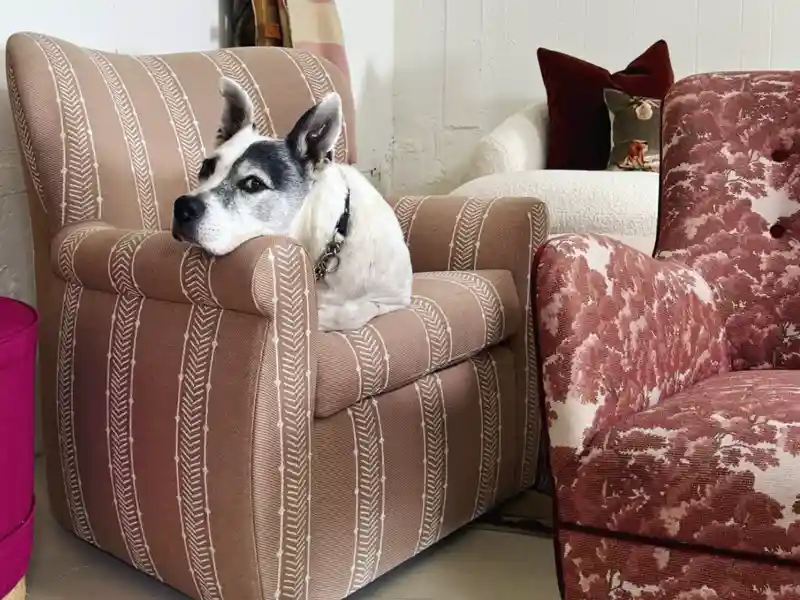 pet friendly furniture and fabric available at norwalk furniture