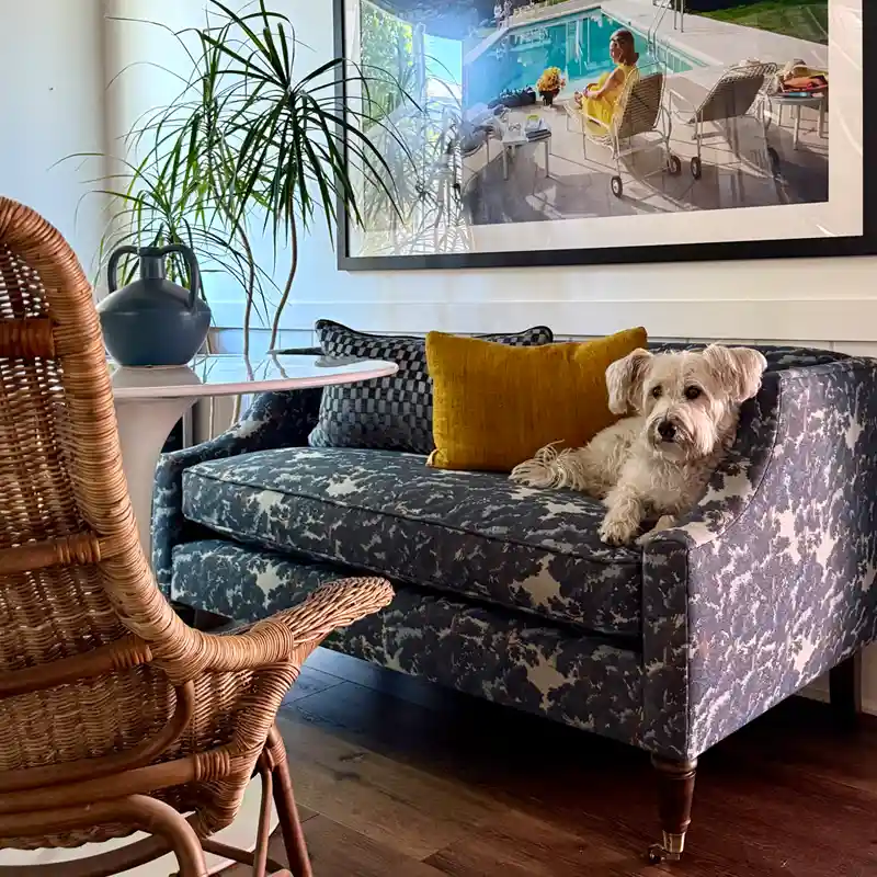 find Crypton performance fabrics at Calico