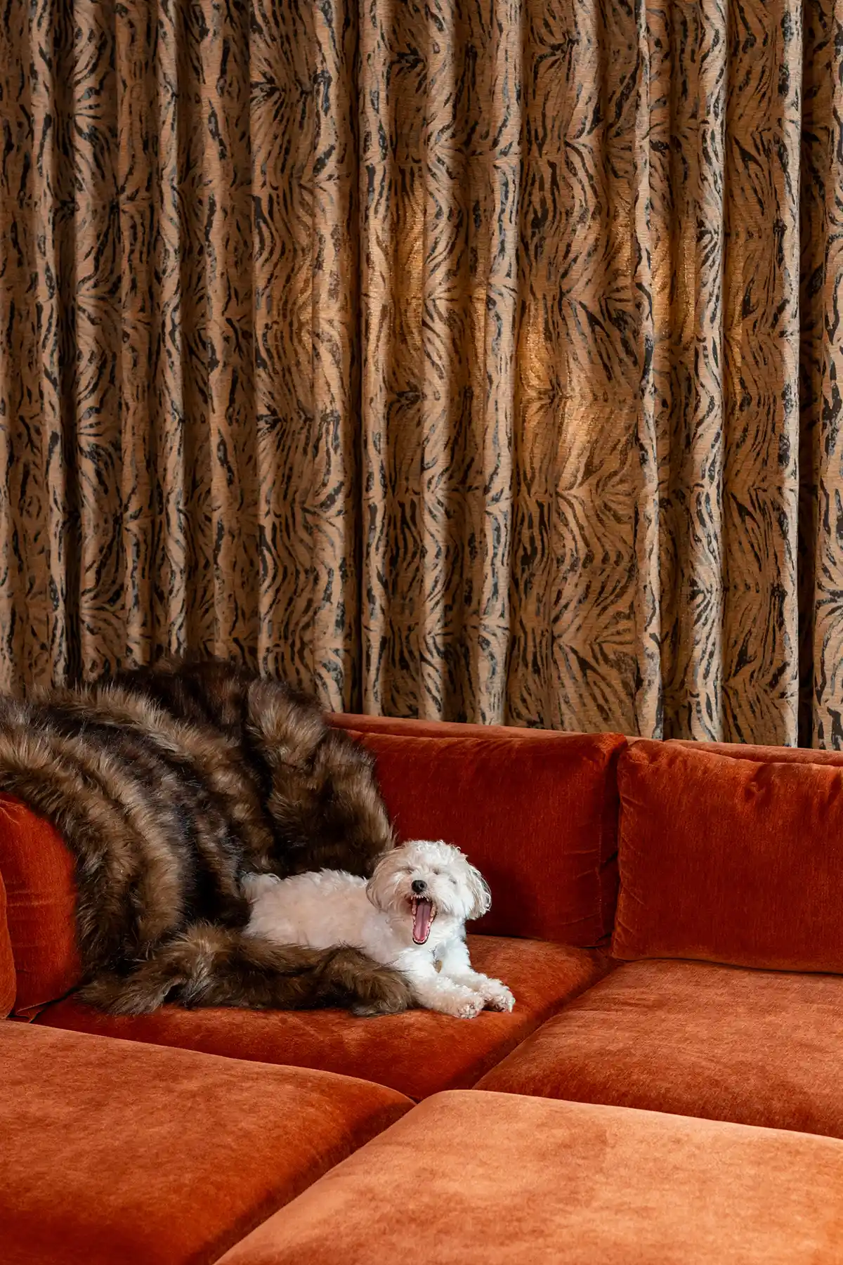 animal print curtains give this vintage-inspired living room a funky retro vibe. 