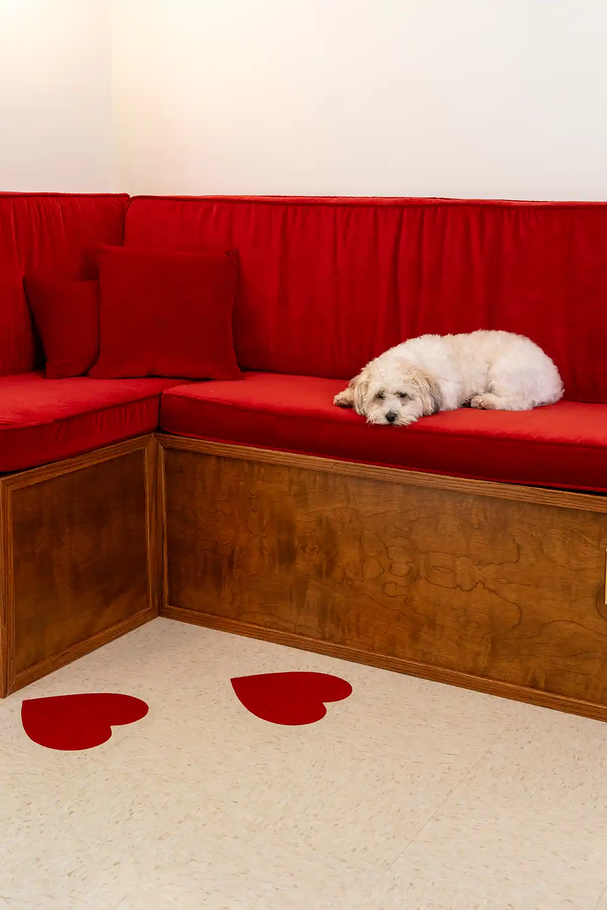 Pet-friendly red performance fabric resists stains and odors making it the perfect upholstery for pet owners. 