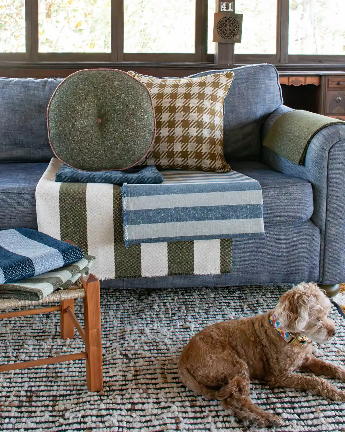 dog sitting near performance fabric showing how upholstery is pet friendly