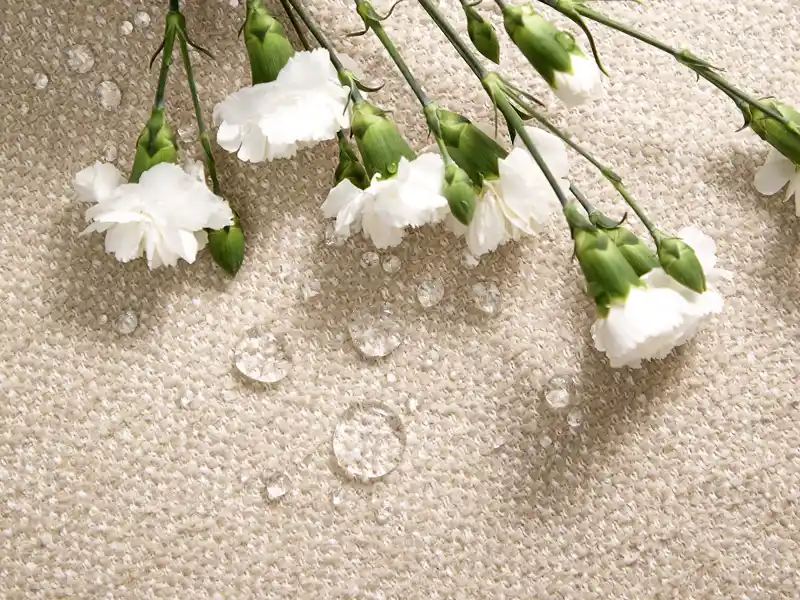 Crypton is a non-toxic, PFAS-free performance fabric that contains no forever chemicals