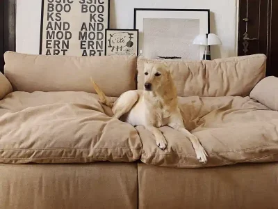 the most comfortable couches you can buy